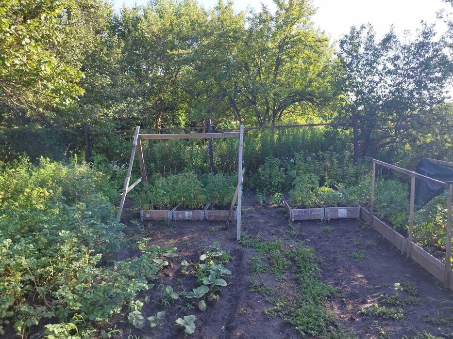 Продам дачу в с/т Восход рядом с Кристальным в Новоалександровке