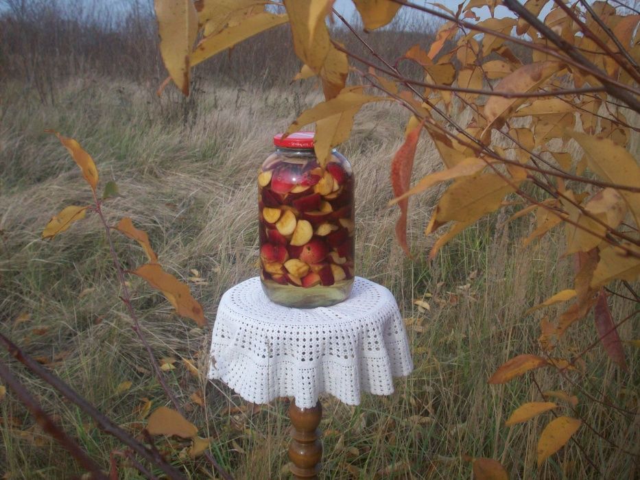 Kiszone jabłka