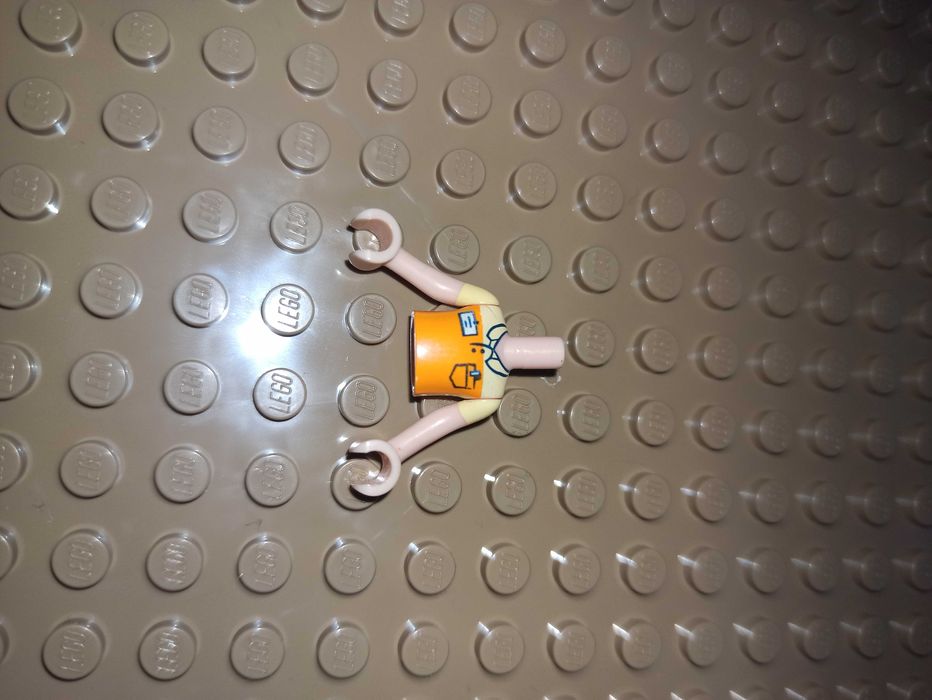 Lego friends tors Daniel frnd138