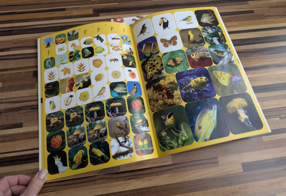 Zestaw młodzi przyrodnicy kolorowa przyroda żółta niebieska czerwona