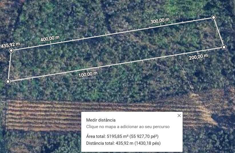 Terreno de eucaliptos