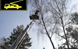 Wycinka drzew z podnośnika, przycinka/rębakowanie/frezowanie.UBEZPIECZ