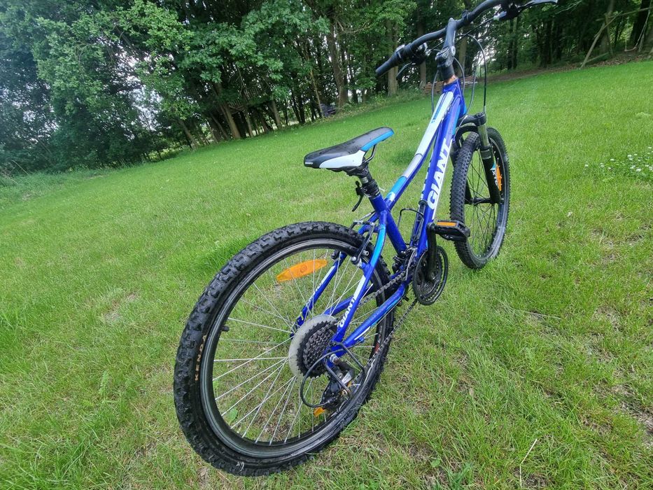 Rower giant niebieski