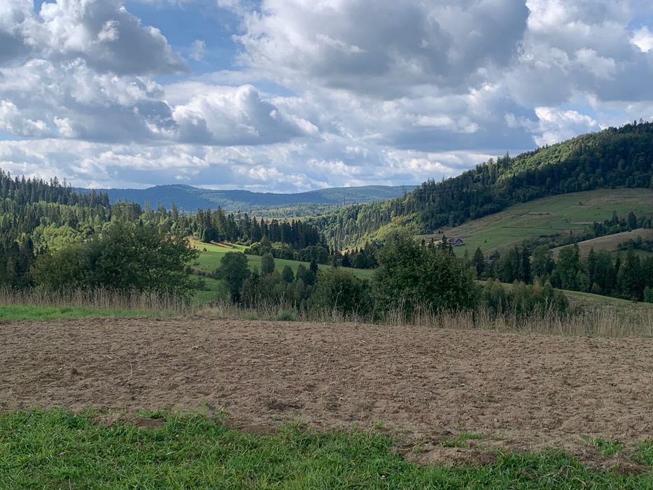 Продаж земельної ділянки, 50 сотих, с. Плавʼя
