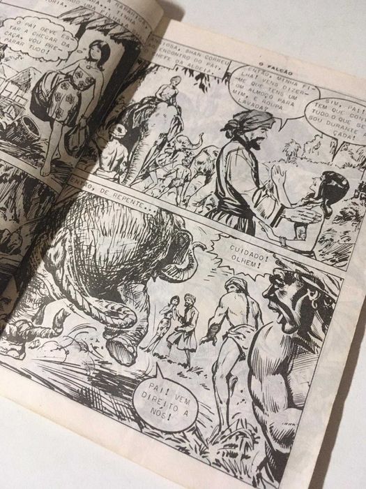 Livro - O Falcão (A Rapariga do Elefante)