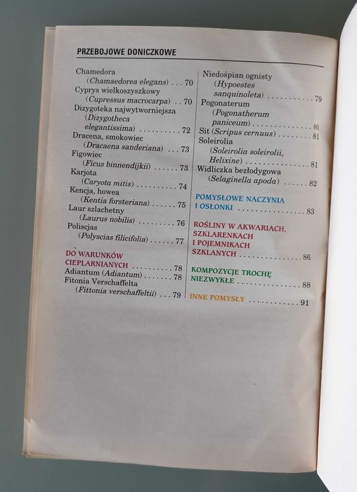 BPD - Kompozycje nie tylko z kwiatów / Przebojowe doniczkowe