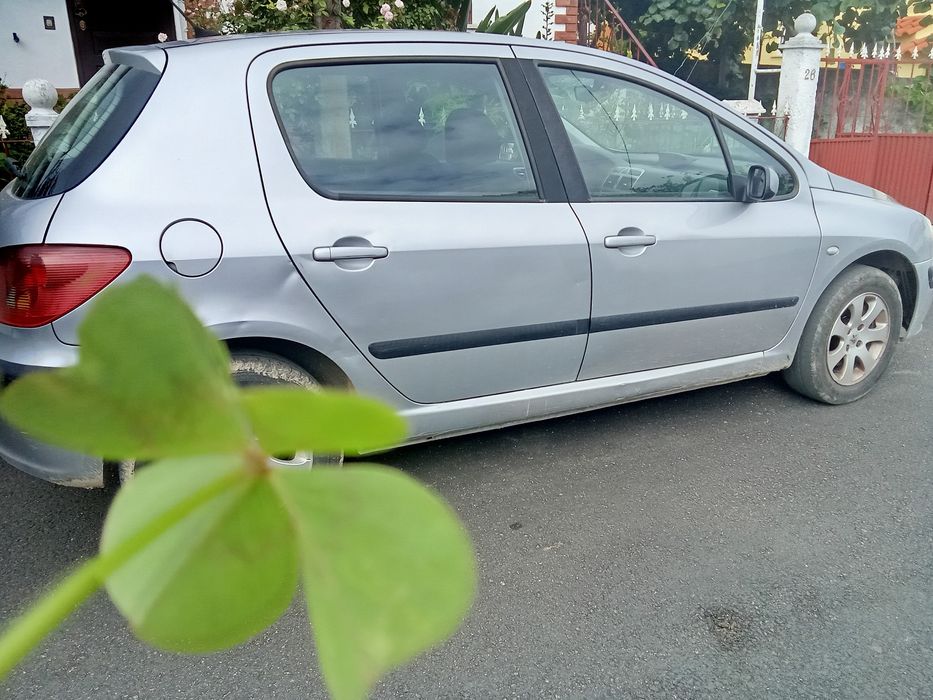 Peugeot 307 1600