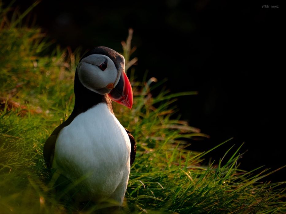 Obiektyw lumix 70-300 sprzedam f 4.5-5.6