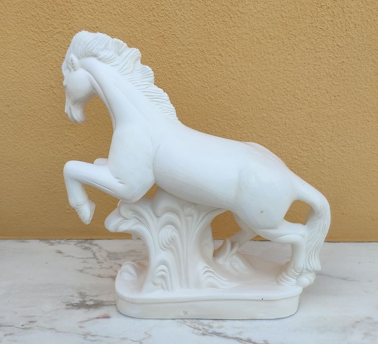 Cavalo Branco Selvagem