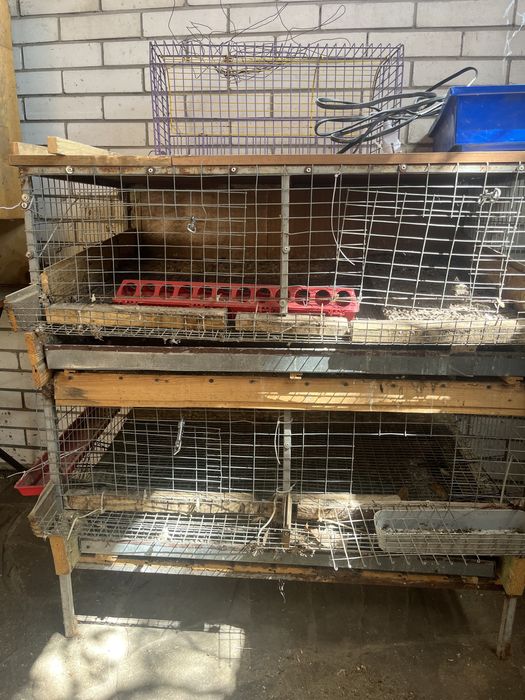 Клетка для перепелов