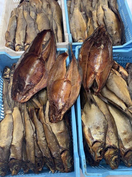 Вялена та ХК риба ОПТОМ | стабільні обʼєми | доставка