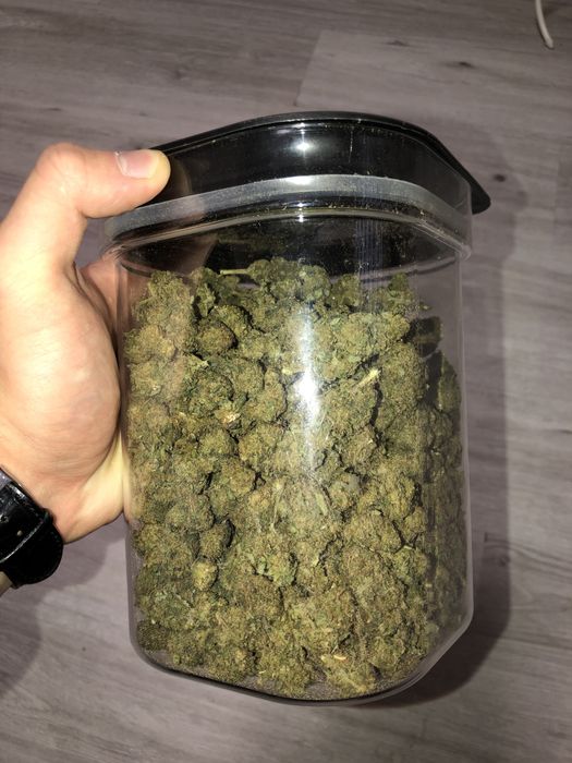 1kg susz CBD White Widow/THC< 0.3%