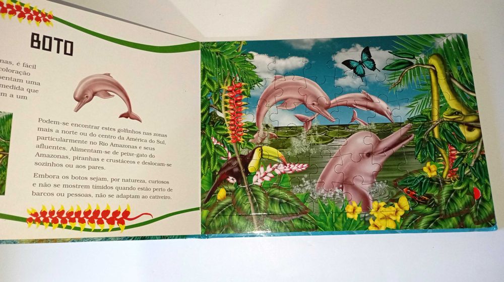 Golfinhos - livro de Puzzles