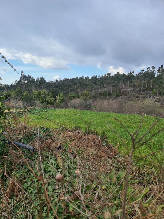 Quinta Agrícola a 5 minutos da A25