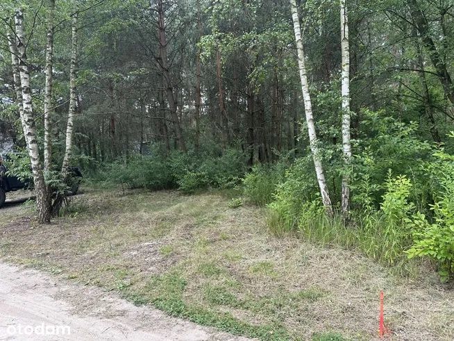 Działka budowlana w lesie