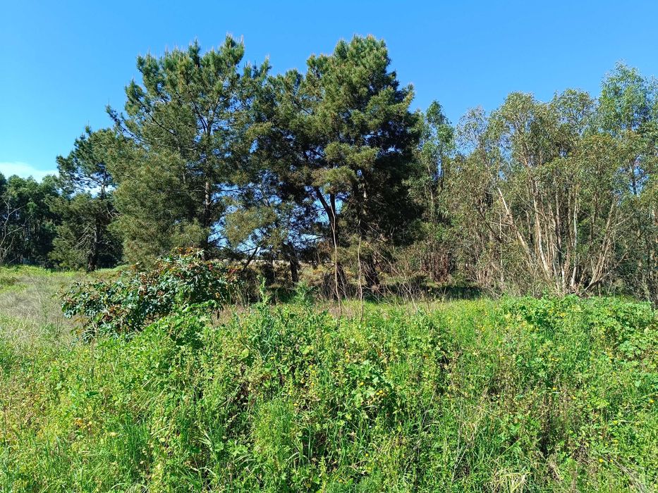 Terreno para Arrendamento – 5750 m² Palmela