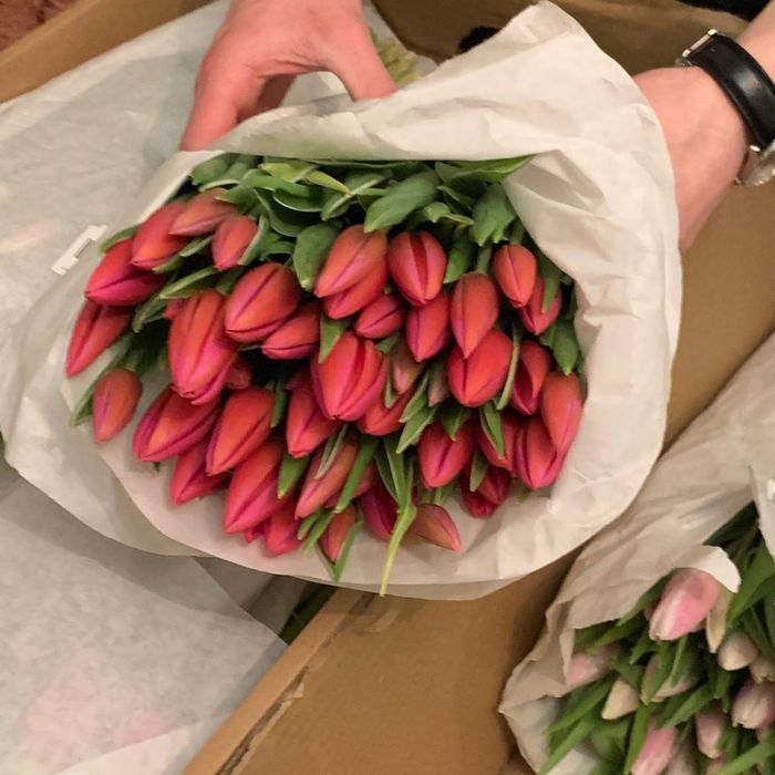 Тюльпани Українські | Голландські | Букет або поштучно | Малий ГУРТ