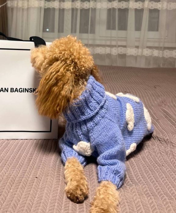 Одежда для собак