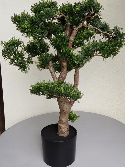 Bonsai sztuczne drzewko tuja