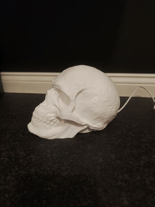 Светящийся череп 3D печать LED лампа