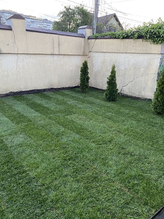 Рулонный/Посевной газон + Автополив + Обслуживание