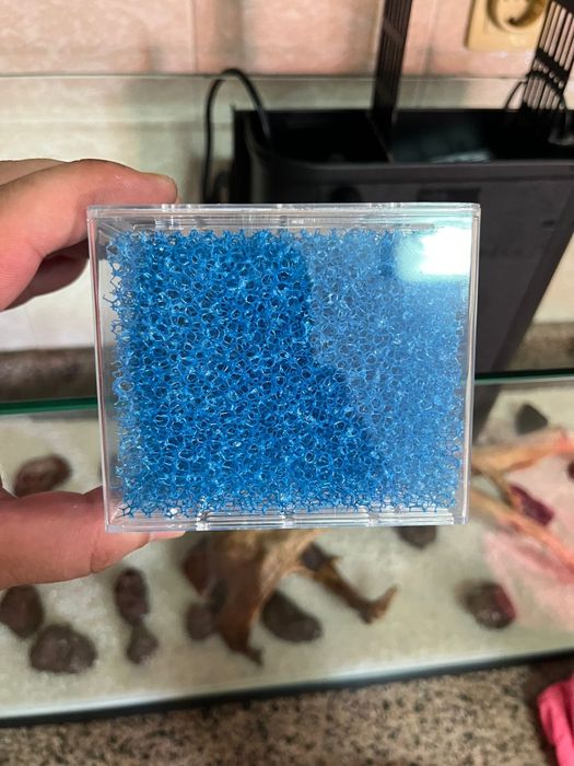 Aquário completo de água quente tudo incluído com peixes