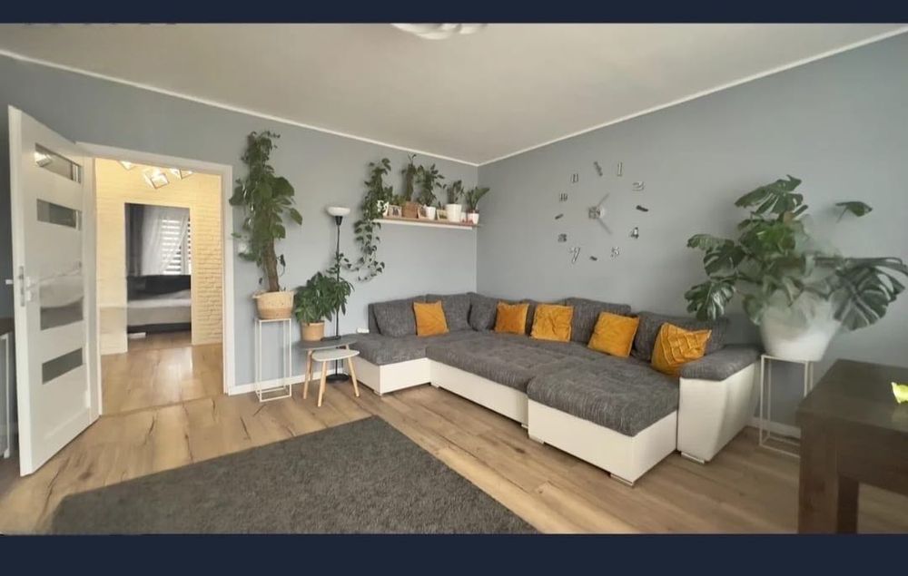 Mieszkanie Chełm - Widok 2