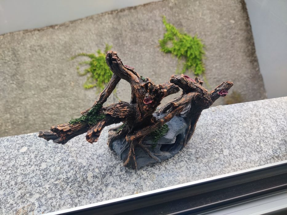 Terrario - Cobra - Iguanas - Hamster, etc.