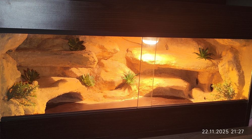 Terrarium pustynne 80x40x40