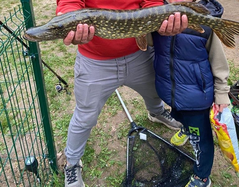 Noclegi nad jeziorem Rydzewo zwierzęta mile widziane.