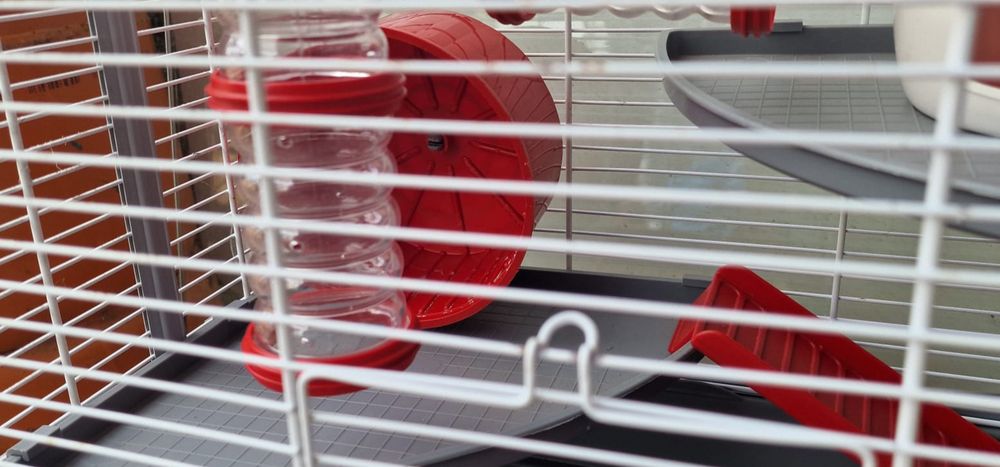 Gaiola Hamster Pino