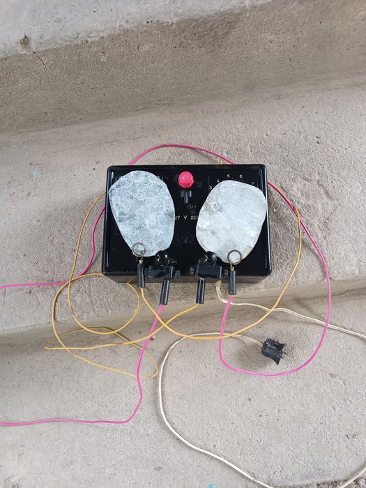 Електрофарез 1963