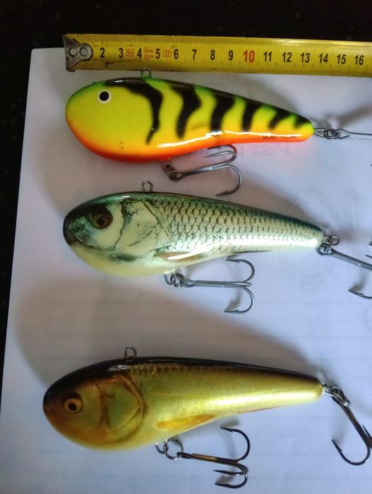 Salmo Chubby  piekne