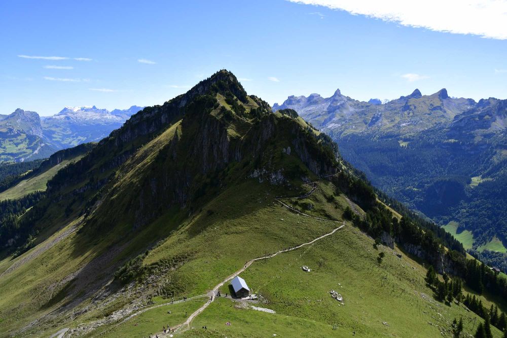 Aparat Nikon D500 | Lustrzanka cyfrowa