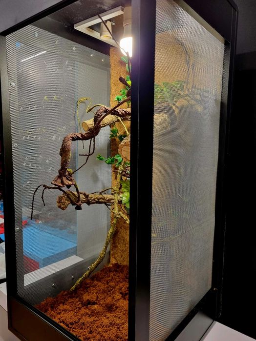 Terrarium 50x50x100 dla kameleona