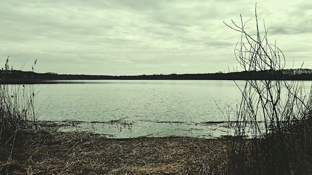 Działkę nad jeziorem, blisko Powidza, starodrzew, woda i prąd na działce