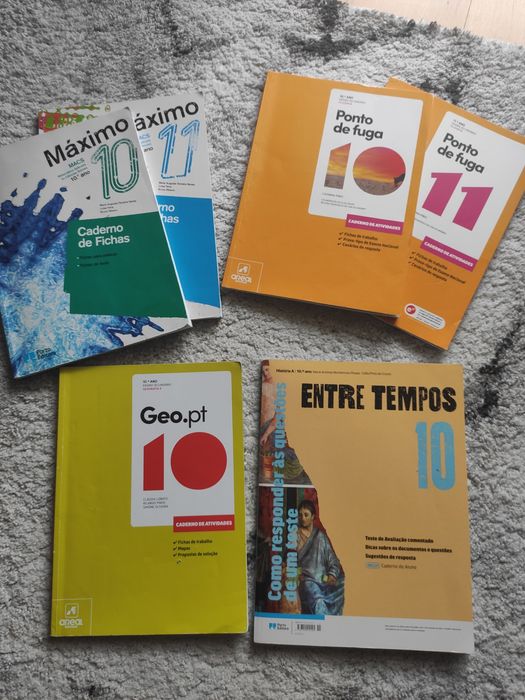 Livros de fichas de 10°/11°