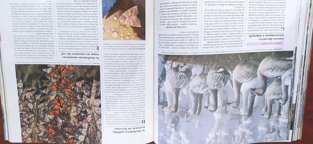 Livro "O Mundo Maravilhoso dos Animais Selvagens"