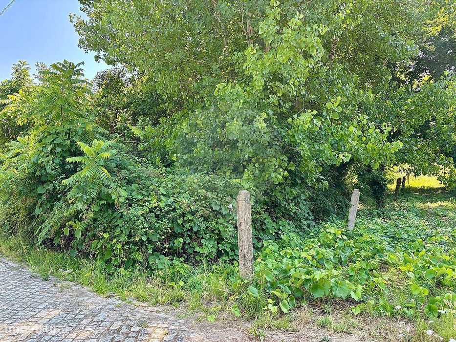 Terreno  para venda