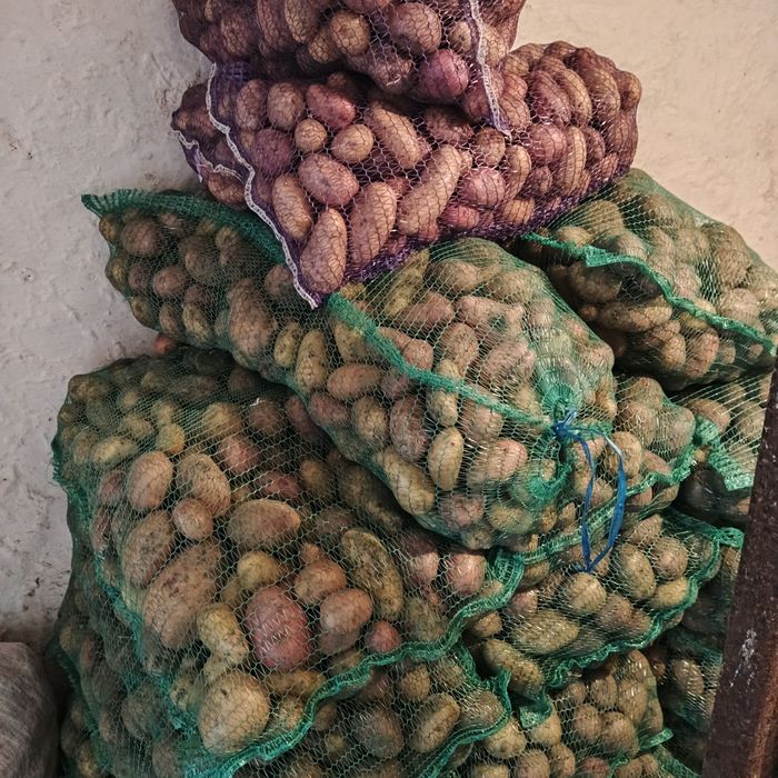Продам Картоплю.