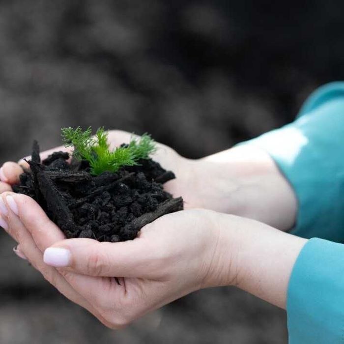 Środek poprawiający właściwości gleby