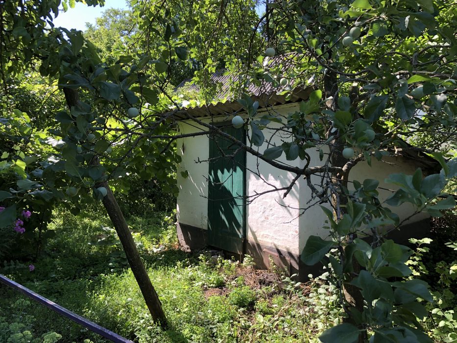 Будинок в с. Розкошівка