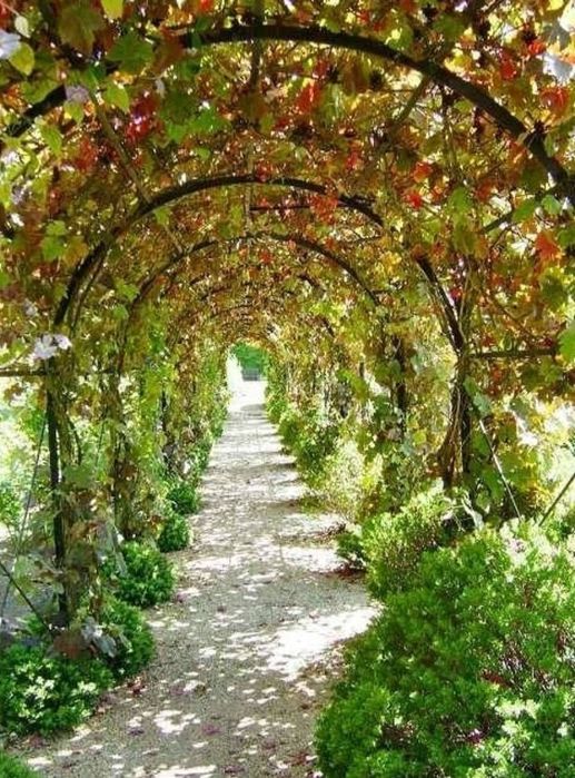 Сдам дом 3 к 70 м Рихтера /Туристская,,6 соток, гараж.Животных можно!