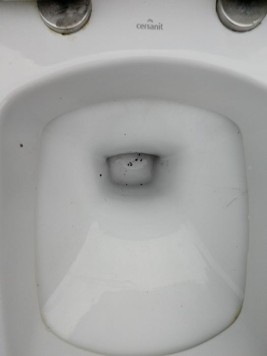 Sprzedam WC z deską