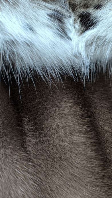 Шуба норкова, комір рись