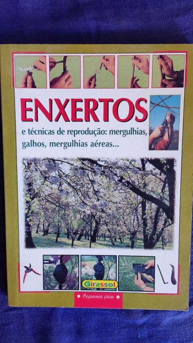 2=1 -> Culturas Hortícolas & Enxertos de Árvores
