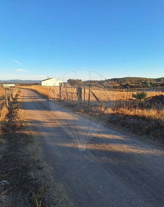 Vendo Terreno Rústico no Alentejo ( Serpa - Beja)