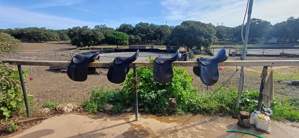 Selas inglesas e de pónei usadas