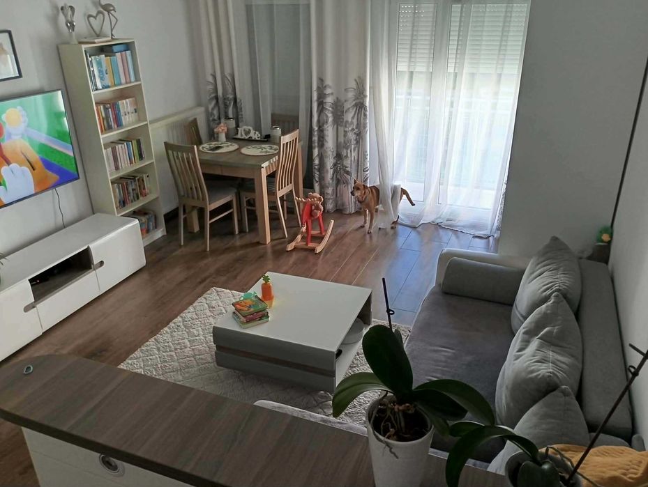 Mieszkanie na sprzedaż Plewiska 2 pokoje gotowe do zamieszkania okazja!