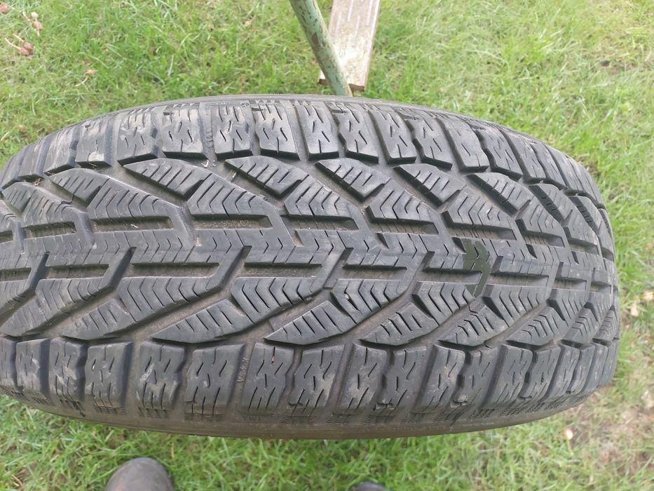 Opona zimowa Kormoran 205/55/16 91H